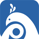 平安版納App